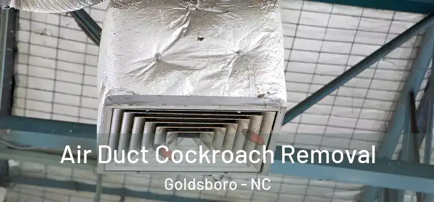  Air Duct Cockroach Removal Goldsboro - NC