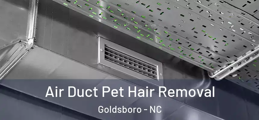 Air Duct Pet Hair Removal Goldsboro - NC