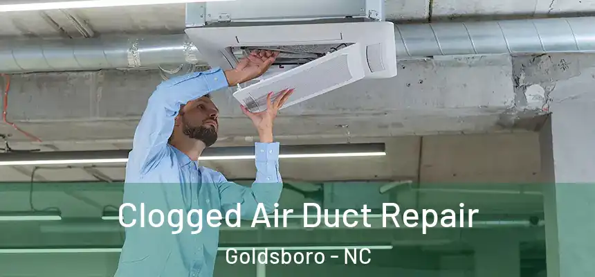 Clogged Air Duct Repair Goldsboro - NC