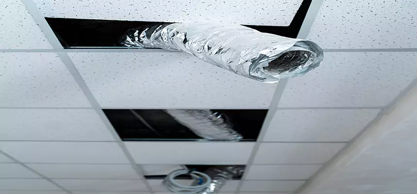 Our Air Duct Pet Hair Removal Services in Goldsboro, NC