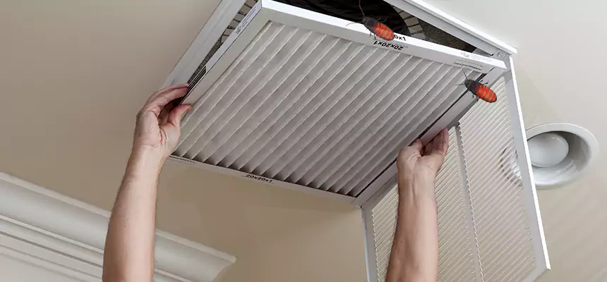 Our Insect Removal from Air Ducts Services in Goldsboro, NC
