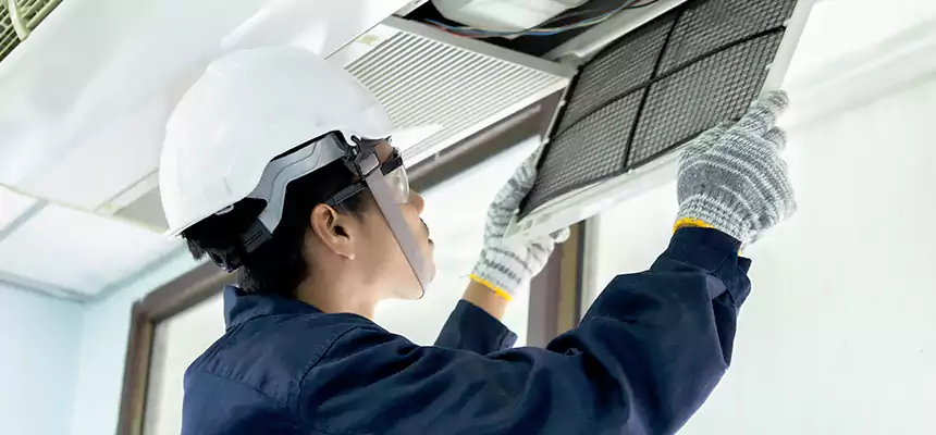 Our Mold & Mildew Removal from Air Ducts Services in Goldsboro, NC