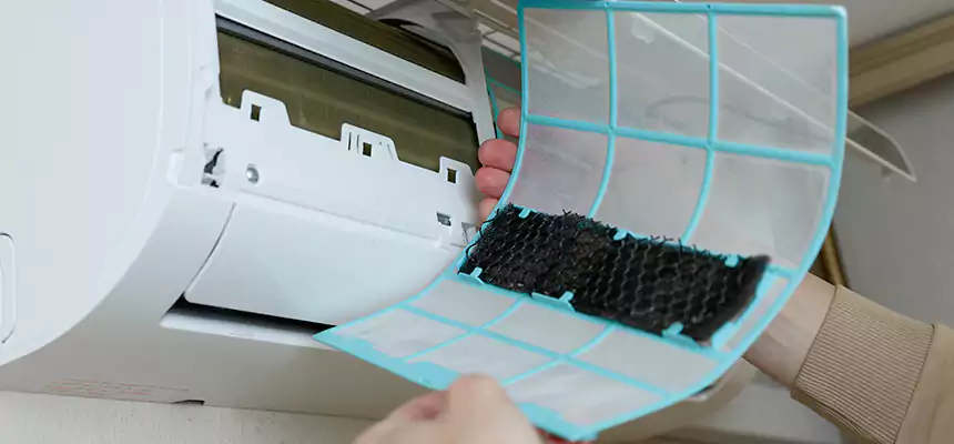 Gentle Ductwork Odor-Control Pet Dander Duct Cleaning in Goldsboro, NC