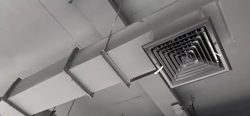 Our Rodent Droppings In Vents Services in Goldsboro, NC