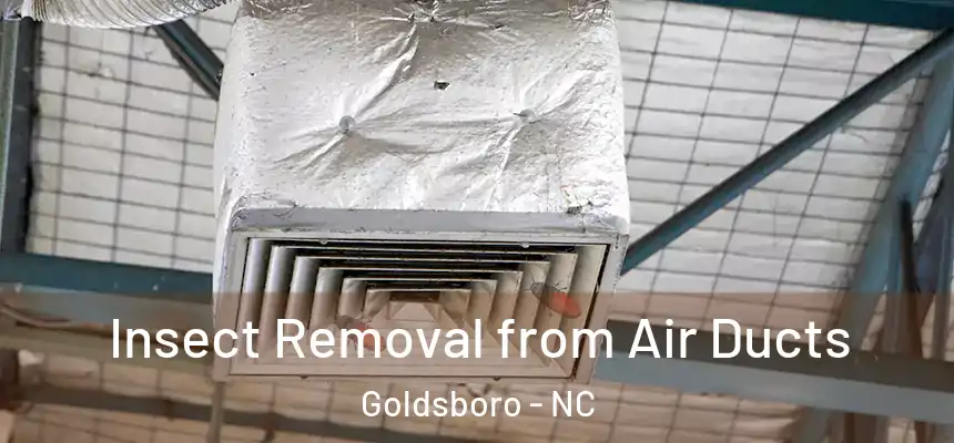  Insect Removal from Air Ducts Goldsboro - NC