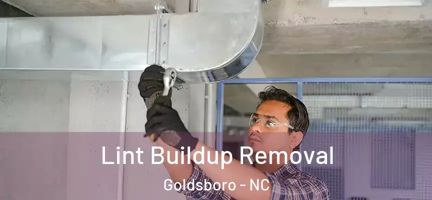 Lint Buildup Removal Goldsboro - NC