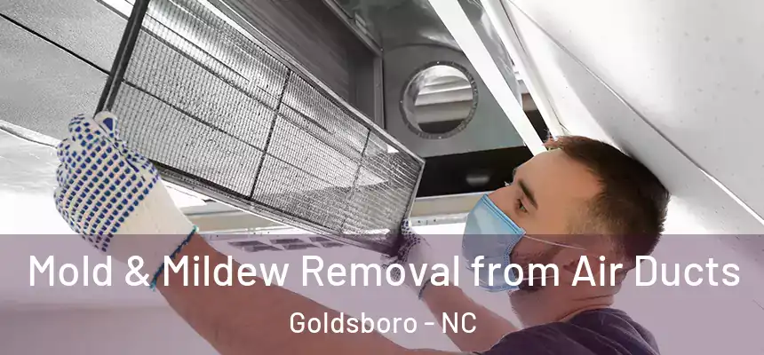  Mold & Mildew Removal from Air Ducts Goldsboro - NC