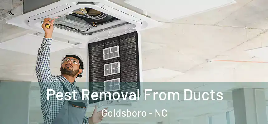  Pest Removal From Ducts Goldsboro - NC