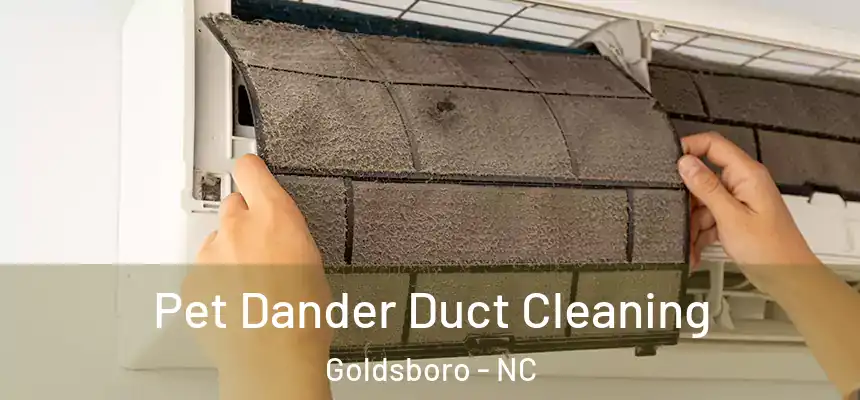  Pet Dander Duct Cleaning Goldsboro - NC