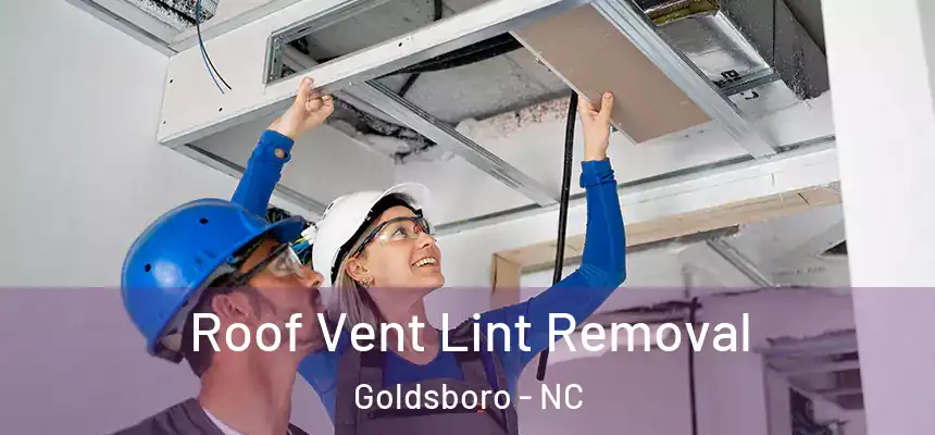  Roof Vent Lint Removal Goldsboro - NC