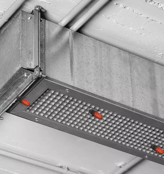 About Air Duct Cockroach Removal in Goldsboro, NC