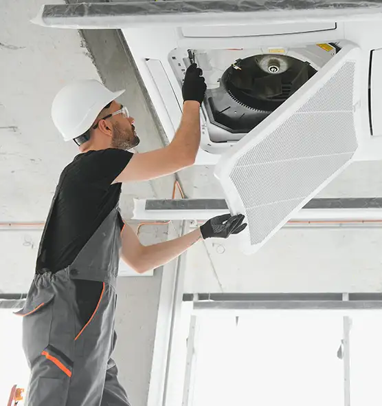 About Air Duct Rodent Removal in Goldsboro, NC