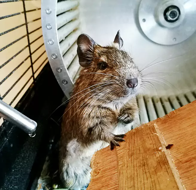 Why Homeowners & Businesses Trust Us Goldsboro, NC