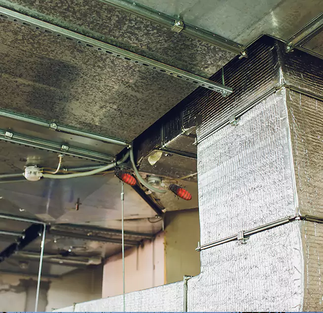 Why Homeowners & Businesses Trust Us Goldsboro, NC?