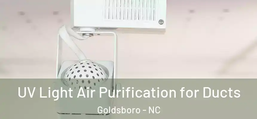  UV Light Air Purification for Ducts Goldsboro - NC